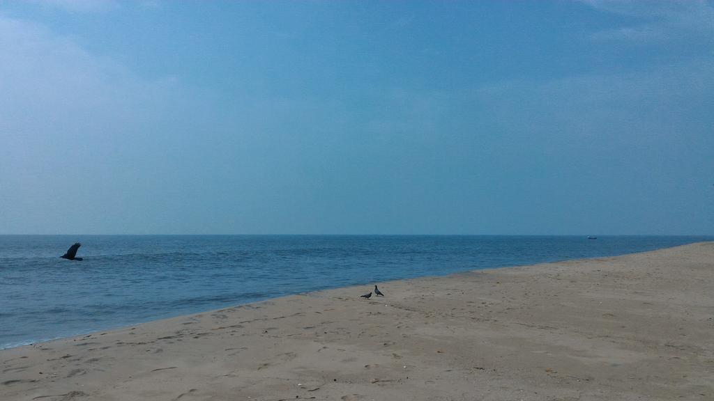 מאראריקולם Marari Secret Beach Yoga Homestay מראה חיצוני תמונה